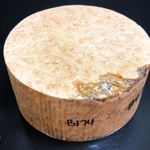 7"x3" KD Maple Burl Wood Bowl Turning Blank (#00174)