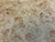 7"x3" KD Maple Burl Wood Bowl Turning Blank (#00174)