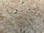 7"x3" KD Maple Burl Wood Bowl Turning Blank (#00174)