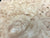 7"x3" KD Maple Burl Wood Bowl Turning Blank (#00174)