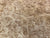 9"x3" KD Maple Burl Wood Bowl Turning Blank (#00263)