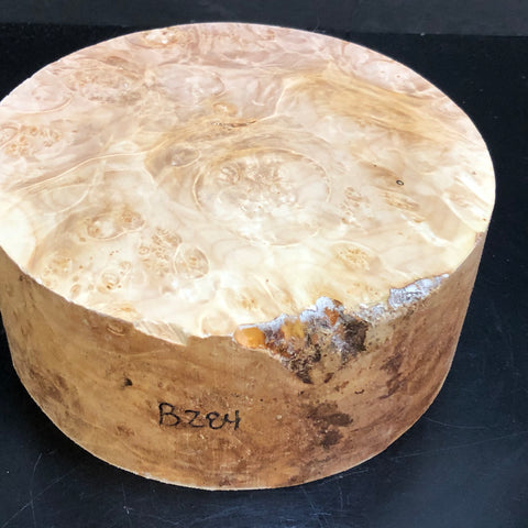 8"x3" KD Maple Burl Wood Bowl Turning Blank (#00284)