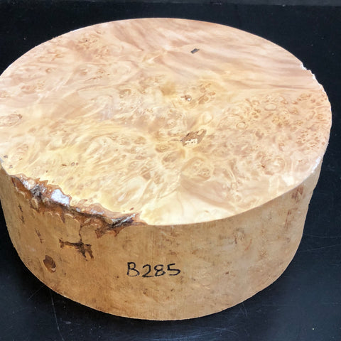 8"x3" KD Maple Burl Wood Bowl Turning Blank (#00285)