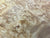 8"x3" KD Maple Burl Wood Bowl Turning Blank (#00285)