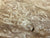 8"x3" KD Maple Burl Wood Bowl Turning Blank (#00285)