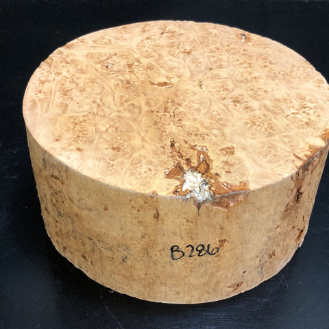 7"x3" KD Maple Burl Wood Bowl Turning Blank (#00286)