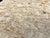 7"x3" KD Maple Burl Wood Bowl Turning Blank (#00286)