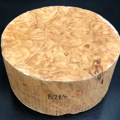 7"x3" KD Maple Burl Wood Bowl Turning Blank (#00288)
