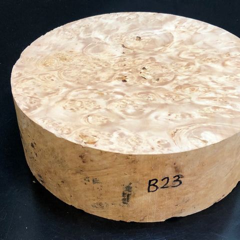 9"x3" KD Maple Burl Wood Bowl Turning Blank (#0023)