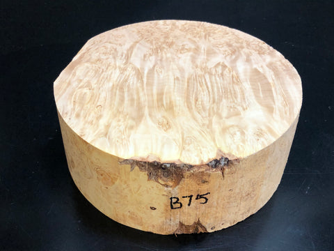 8"x3" KD Maple Burl Wood Bowl Turning Blank (#0075)