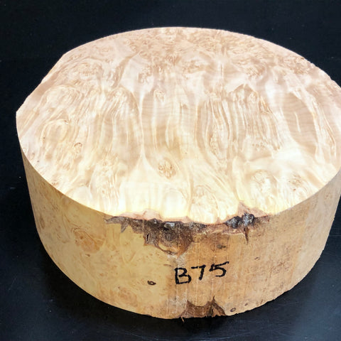 8"x3" KD Maple Burl Wood Bowl Turning Blank (#0075)