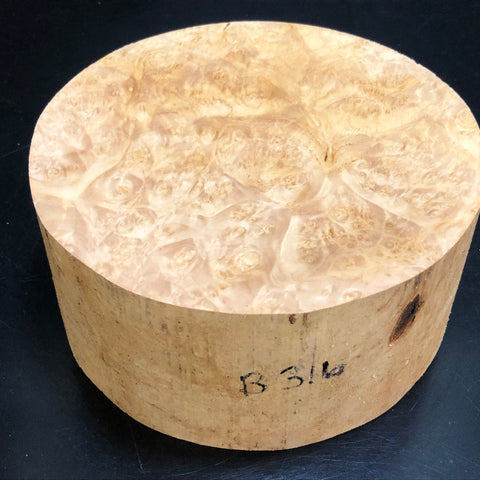 7"x3" KD Maple Burl Wood Bowl Turning Blank (#00316)