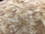7"x3" KD Maple Burl Wood Bowl Turning Blank (#00316)