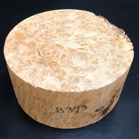 7"x3" KD Maple Burl Wood Bowl Turning Blank (#00373)