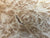7"x3" KD Maple Burl Wood Bowl Turning Blank (#00373)