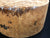 7"x3" KD Maple Burl Wood Bowl Turning Blank (#00373)