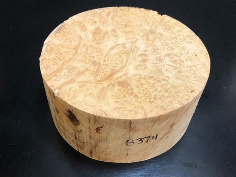 7"x3" KD Maple Burl Wood Bowl Turning Blank (#00374)