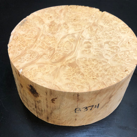 7"x3" KD Maple Burl Wood Bowl Turning Blank (#00374)