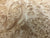 7"x3" KD Maple Burl Wood Bowl Turning Blank (#00374)