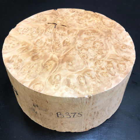 7"x3" KD Maple Burl Wood Bowl Turning Blank (#00375)