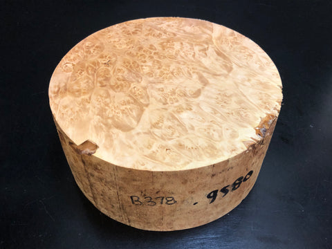7"x3" KD Maple Burl Wood Bowl Turning Blank (#00378)