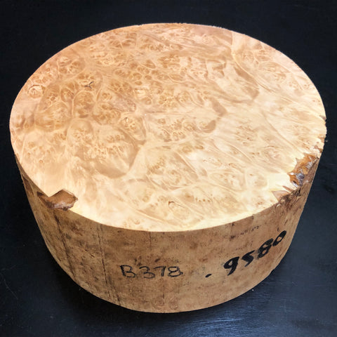 7"x3" KD Maple Burl Wood Bowl Turning Blank (#00378)