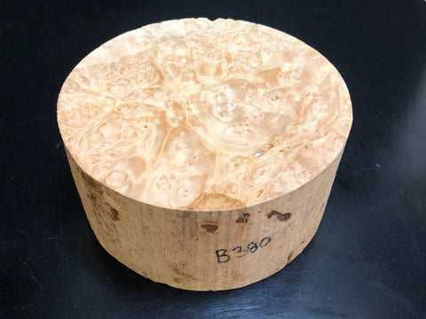 7"x3" KD Maple Burl Wood Bowl Turning Blank (#00380)