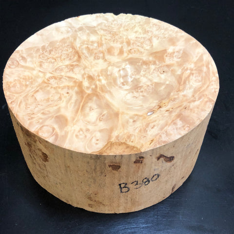 7"x3" KD Maple Burl Wood Bowl Turning Blank (#00380)