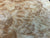 7"x3" KD Maple Burl Wood Bowl Turning Blank (#00380)