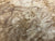 7"x3" KD Maple Burl Wood Bowl Turning Blank (#00380)