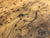 9"x3" Thuya Burl Wood Bowl Turning Blank (#0018)