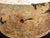 7"x3" KD Maple Burl Wood Bowl Turning Blank (#00397)