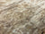 7"x3" KD Maple Burl Wood Bowl Turning Blank (#00397)