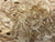 7"x3" KD Maple Burl Wood Bowl Turning Blank (#00399)