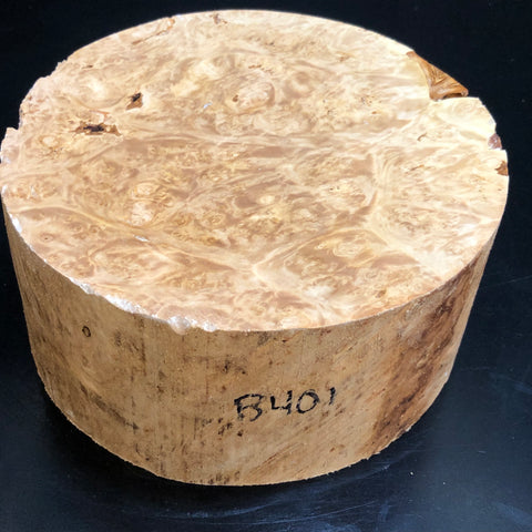 7"x3" KD Maple Burl Wood Bowl Turning Blank (#00401)
