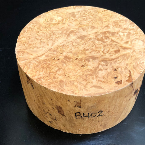 7"x3" KD Maple Burl Wood Bowl Turning Blank (#00402)