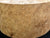7"x3" KD Maple Burl Wood Bowl Turning Blank (#00402)