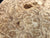 7"x3" KD Maple Burl Wood Bowl Turning Blank (#00402)