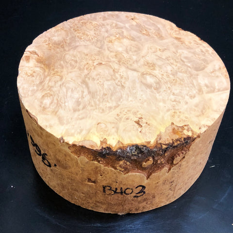 7"x3" KD Maple Burl Wood Bowl Turning Blank (#00403)