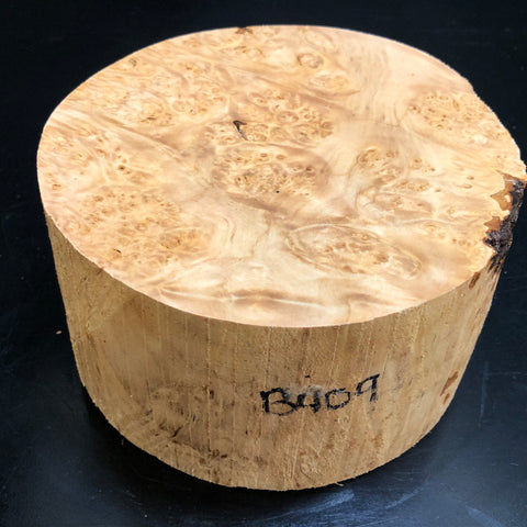 6"x3" KD Maple Burl Wood Bowl Turning Blank (#00409)