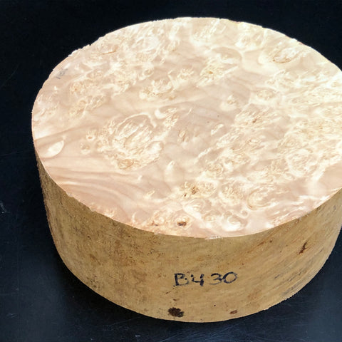 8"x3" KD Maple Burl Wood Bowl Turning Blank (#00430)