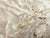 8"x3" KD Maple Burl Wood Bowl Turning Blank (#00430)