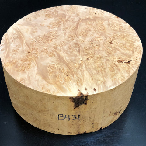 8"x3" KD Maple Burl Wood Bowl Turning Blank (#00431)