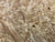 8"x3" KD Maple Burl Wood Bowl Turning Blank (#00431)
