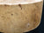 8"x3" KD Maple Burl Wood Bowl Turning Blank (#00431)