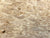 8"x3" KD Maple Burl Wood Bowl Turning Blank (#00431)