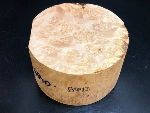 6"x3" KD Maple Burl Wood Bowl Turning Blank (#00442)
