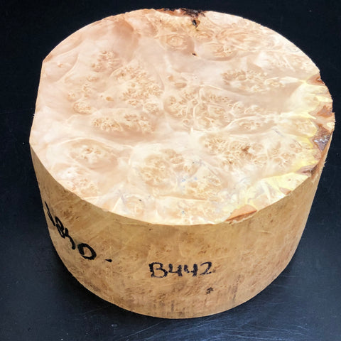 6"x3" KD Maple Burl Wood Bowl Turning Blank (#00442)