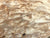 6"x3" KD Maple Burl Wood Bowl Turning Blank (#00442)