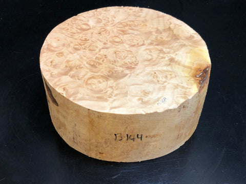8"x3" KD Maple Burl Wood Bowl Turning Blank (#00144)